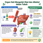 Fungsi Organ
